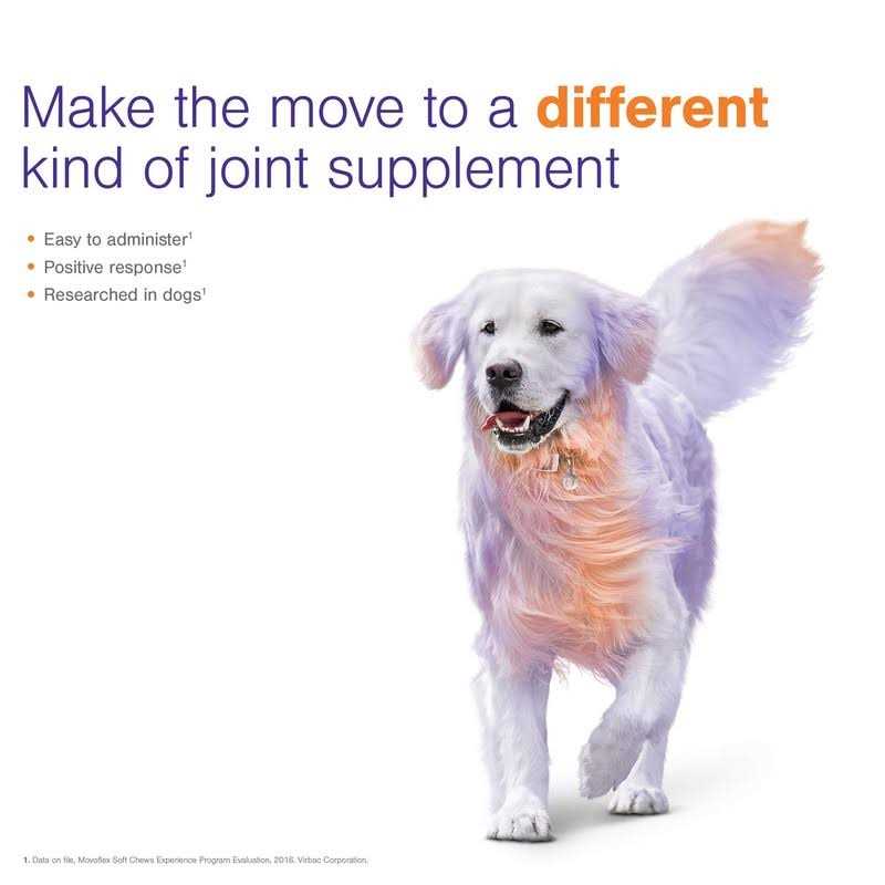 Joint Support Soft Chews for Dogs N1988