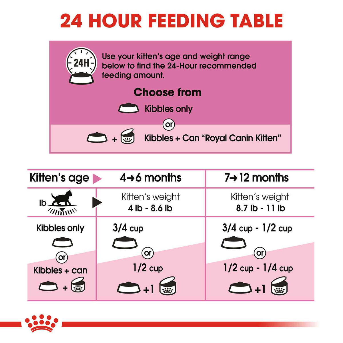 Kitten Dry Food X95162