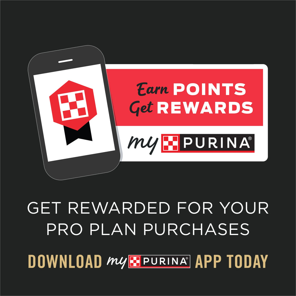 Beef Lamb Dog Food 5.5 oz Cans 24 Pack W460