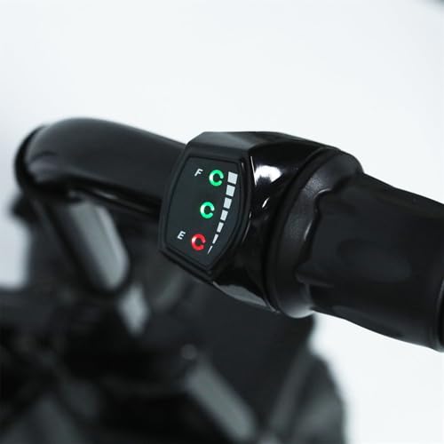 36V 1000W Electric Mini Dirt Bike R309