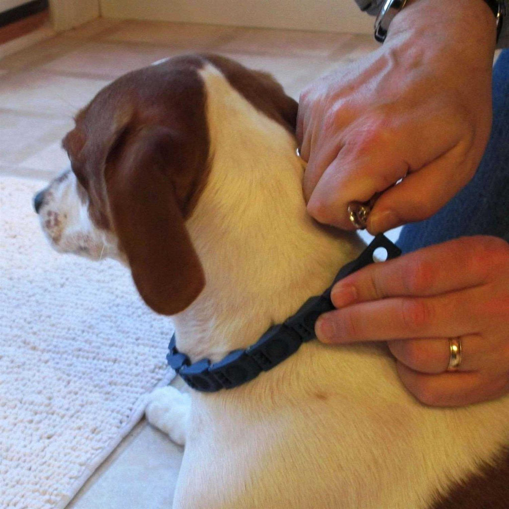 Dog Training Collar L1687