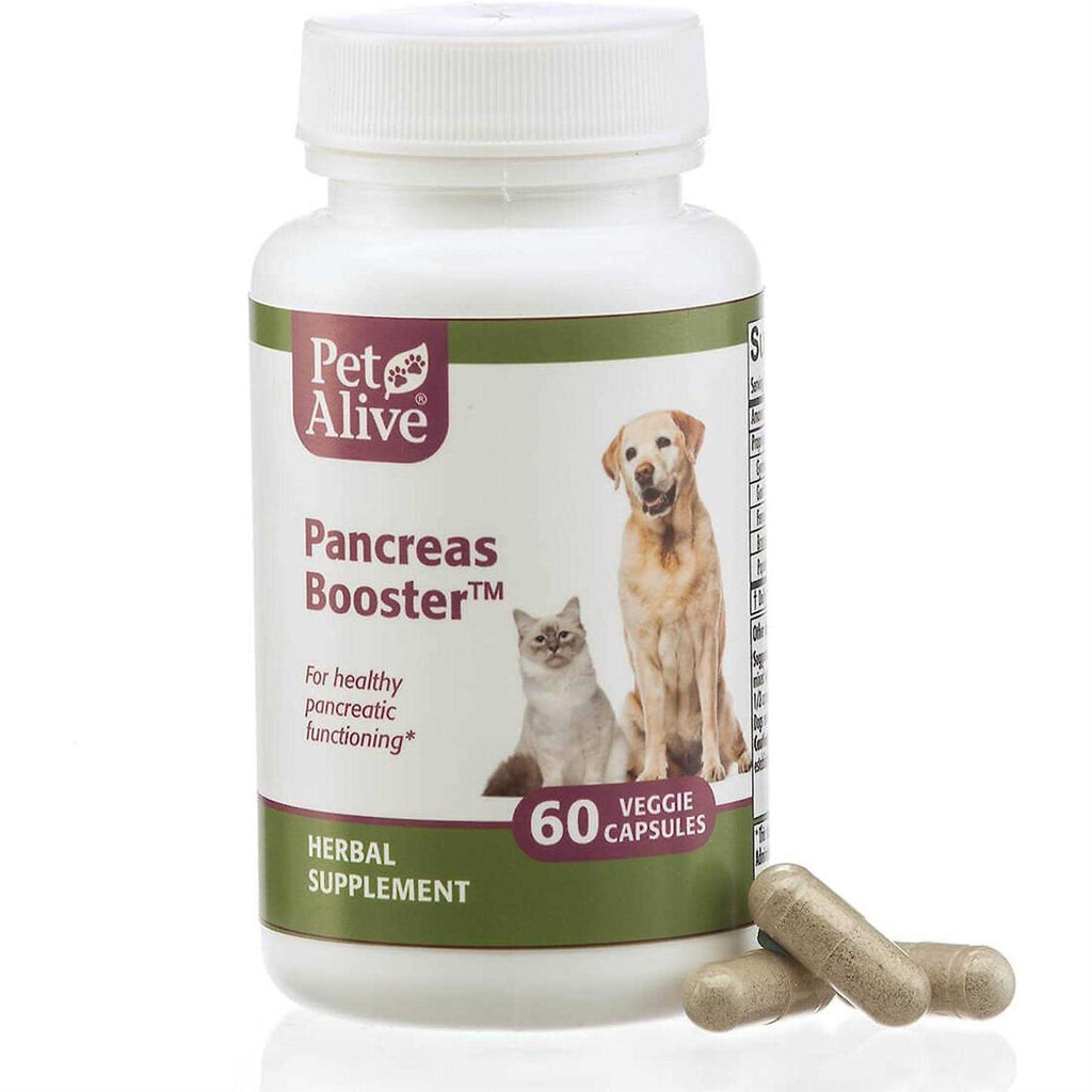 Pancreas Booster Pet Supplies H544044
