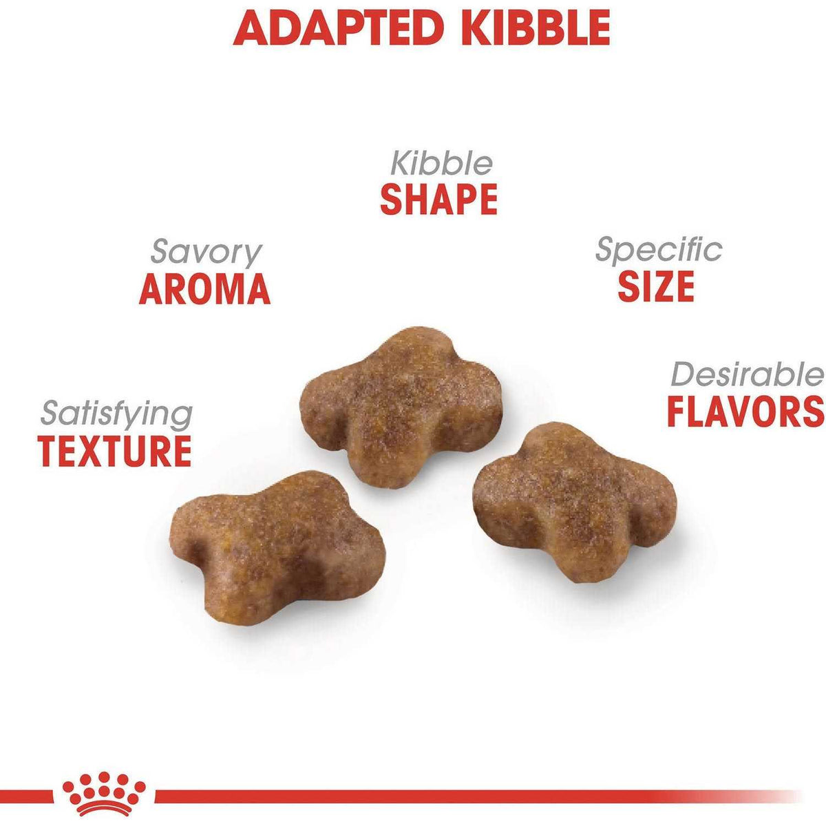 Kitten Dry Food X95162