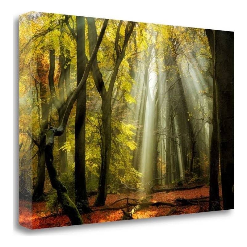 Canvas Art C7159