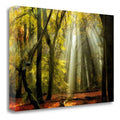 Canvas Art C7159