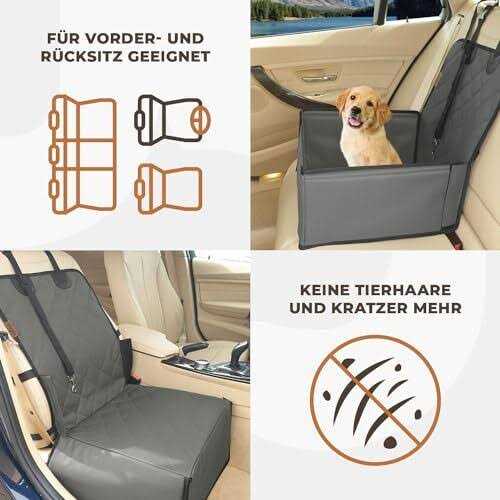 Extra Stable Dog Car Seat for Small to Medium-Sized Dogs K316535