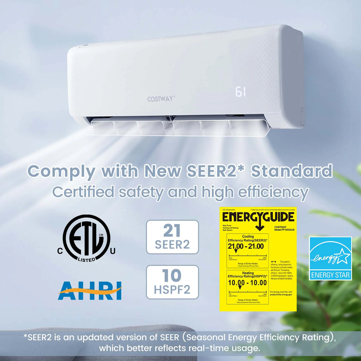 24,000 BTU Mini Split Air Conditioner with Heat Pump F12696