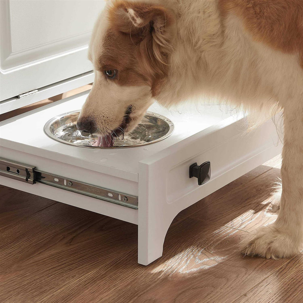 Modern Pet Feeding Station with 2 Elevated Dog Bowls P251433