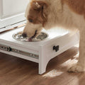 Modern Pet Feeding Station with 2 Elevated Dog Bowls P251433