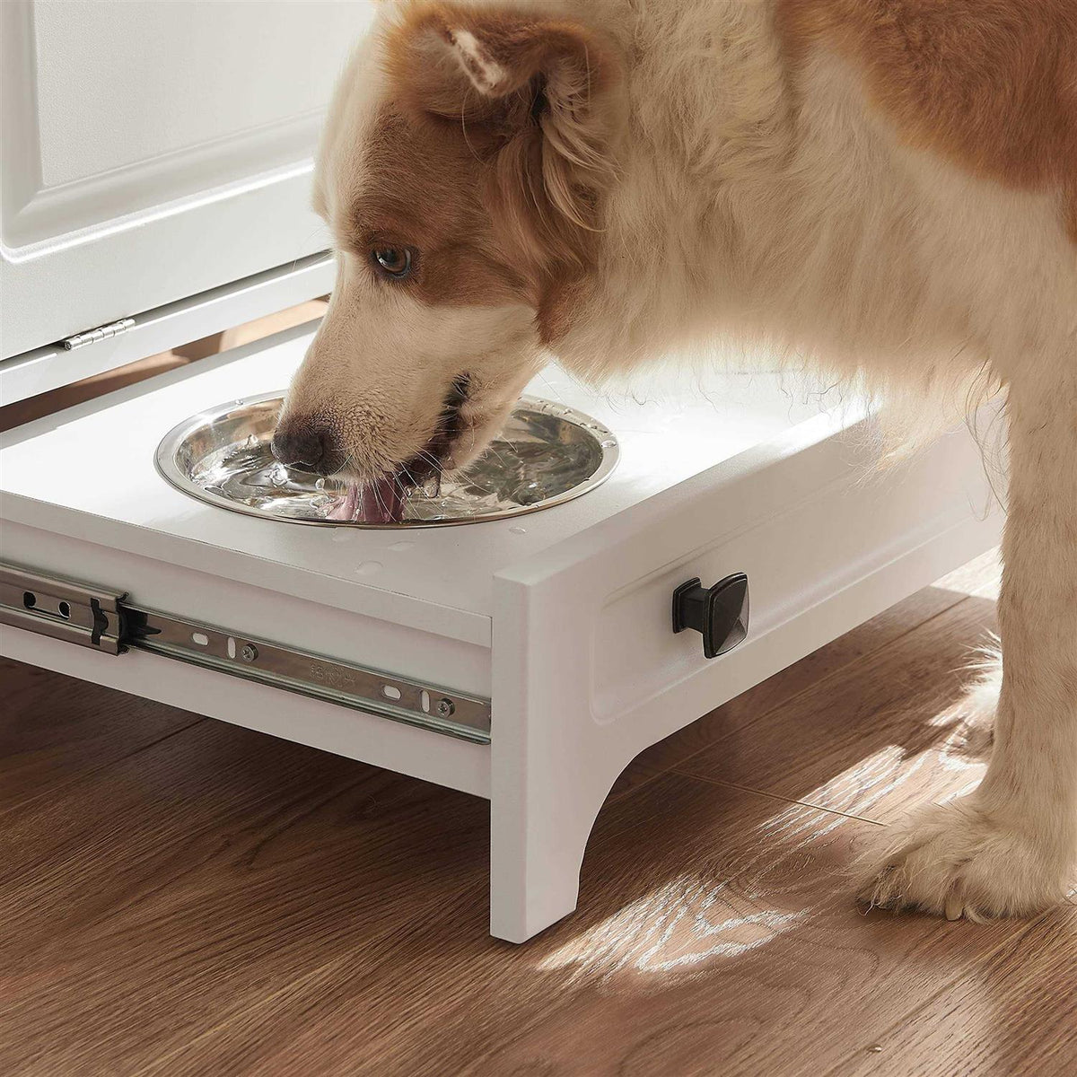 Modern Pet Feeding Station with 2 Elevated Dog Bowls P251433