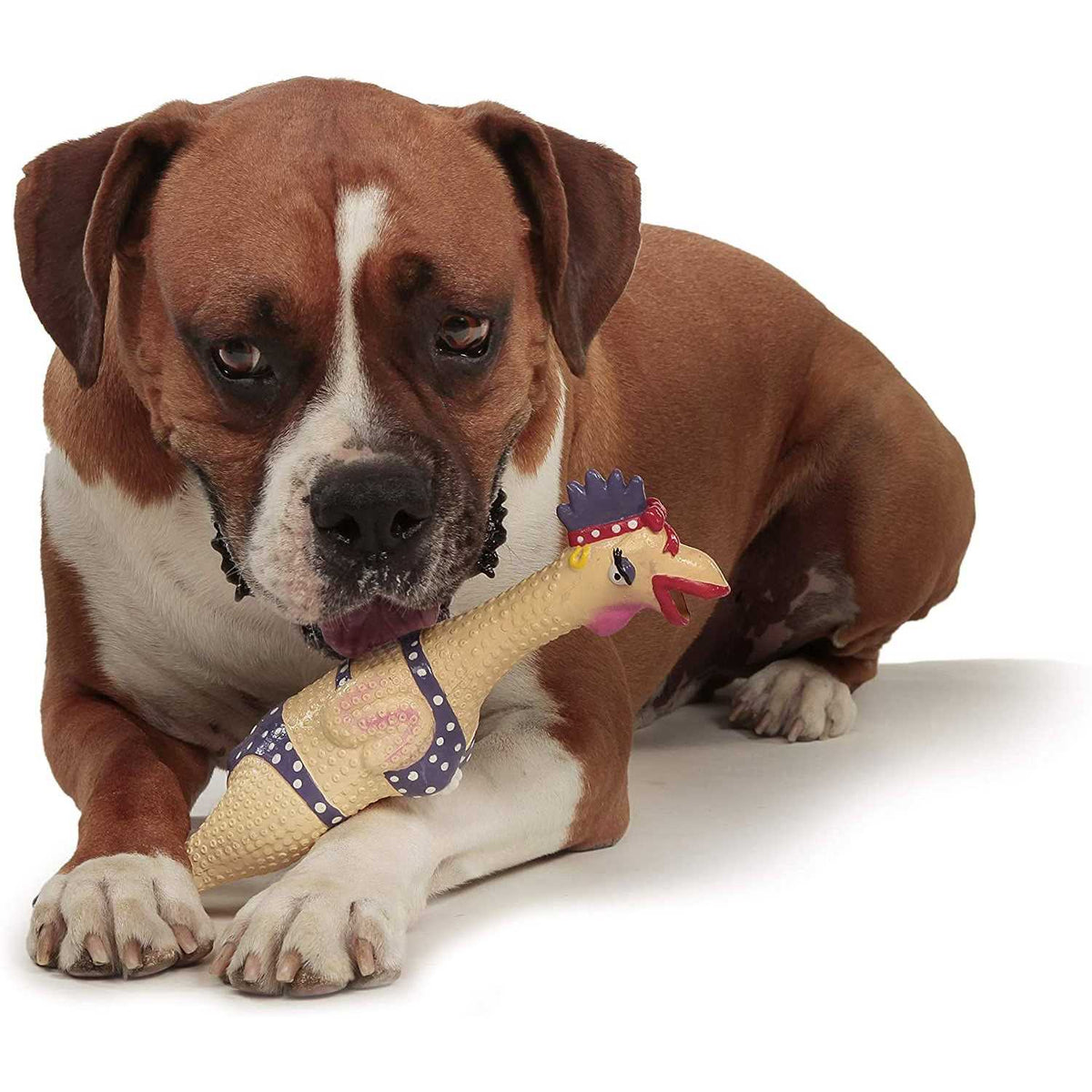 Dog Toy W56529