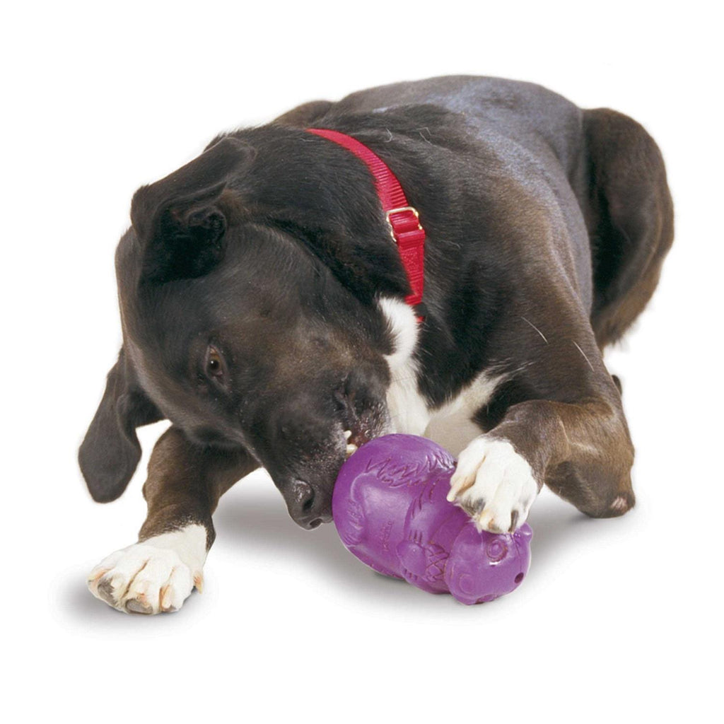 Squirrel Dude Dog Toy S28481