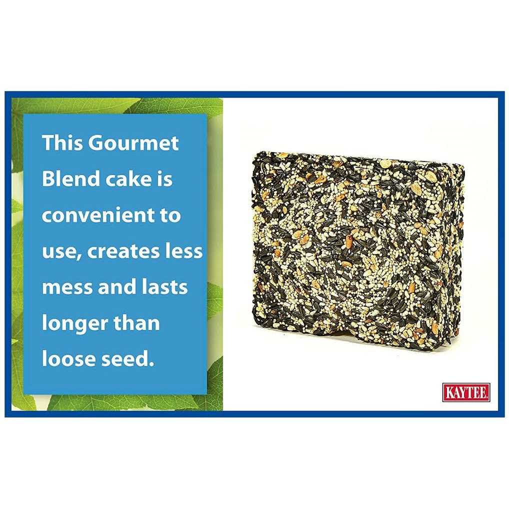 Gourmet Seed Cake R47843