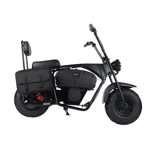 36V 1000W Electric Mini Dirt Bike R309