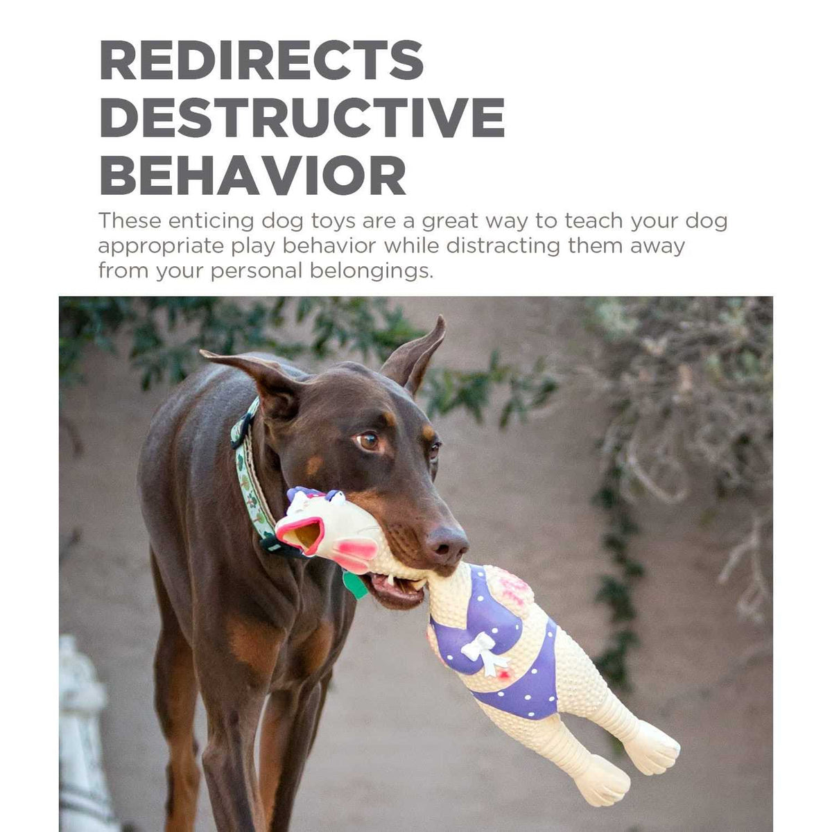 Dog Toy W56529