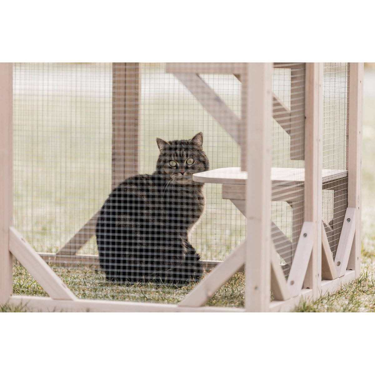 Wooden Cattery Grey J217466