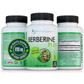 1200mg Berberine Veggie Capsules with Royal Jelly Z789