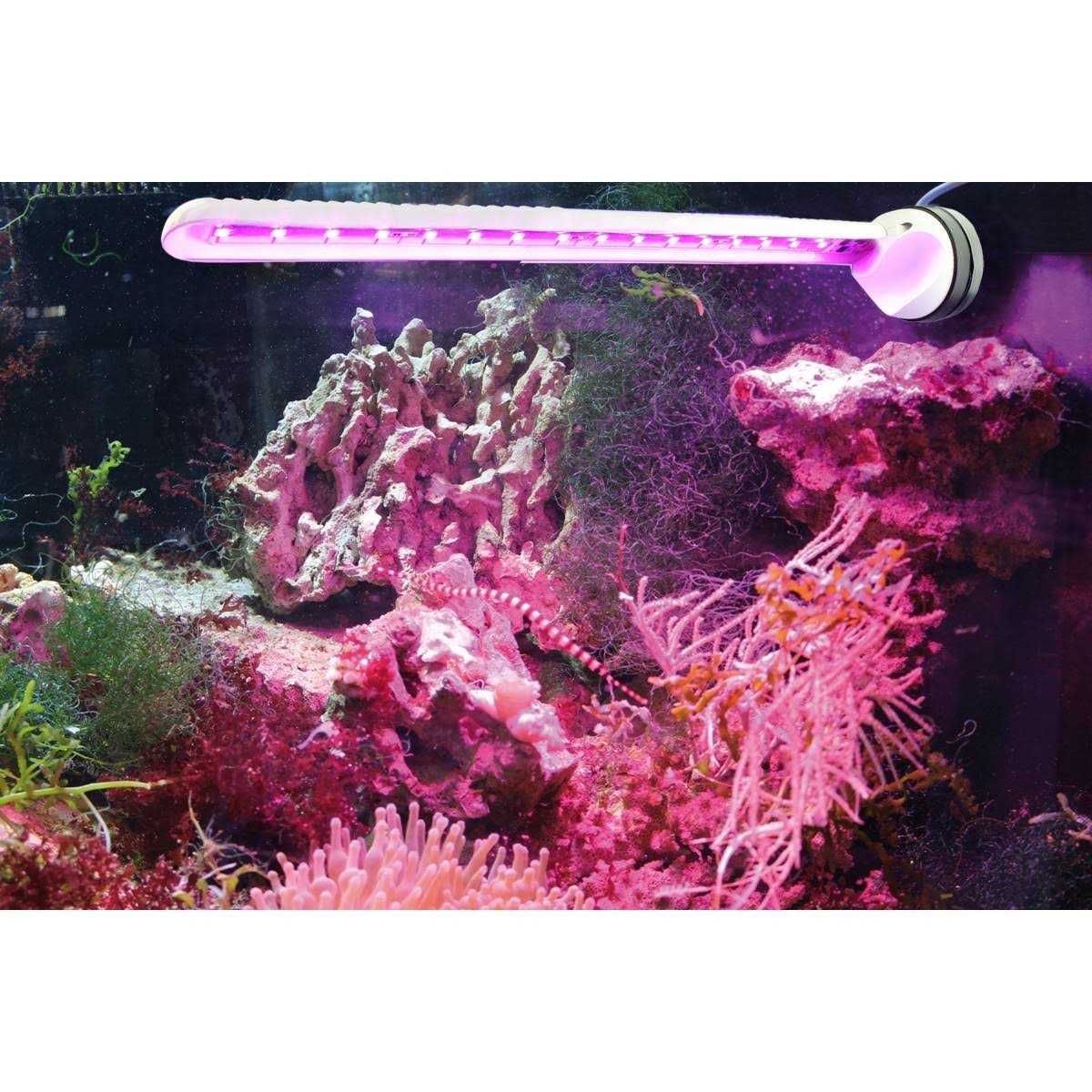 Refugium LED Light N685449