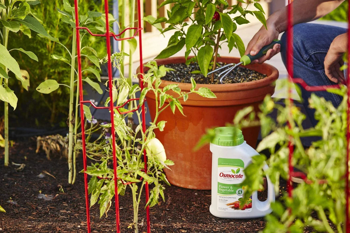 Smart Release Plant Food Fertilizer 6 Pack 4.5 lb E274