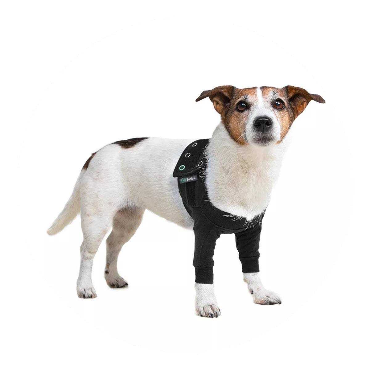 Dog Recovery Sleeves J83882