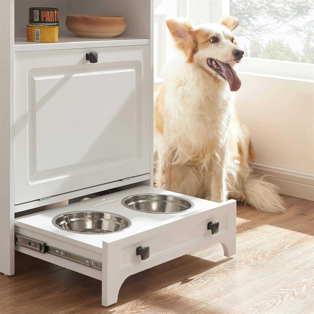 Modern Pet Feeding Station with 2 Elevated Dog Bowls P251433