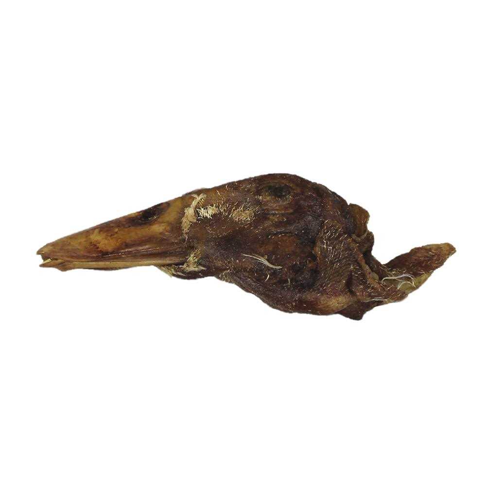 Freeze-Dried Raw Duck Head Pet Treat Q634