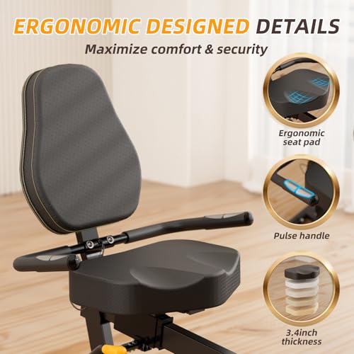 Recumbent Exercise Bike with Magnetic Resistance F854480