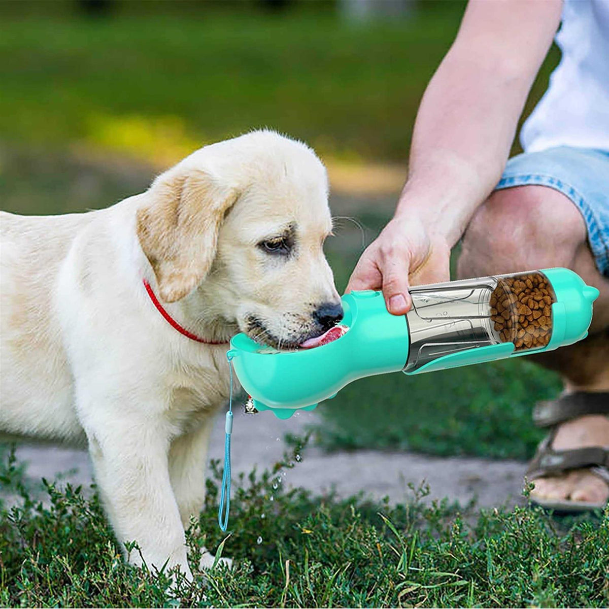 3 in 1 Dog Travel Bottle Set P358