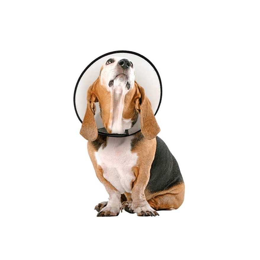 Protective Cone Collar C36663