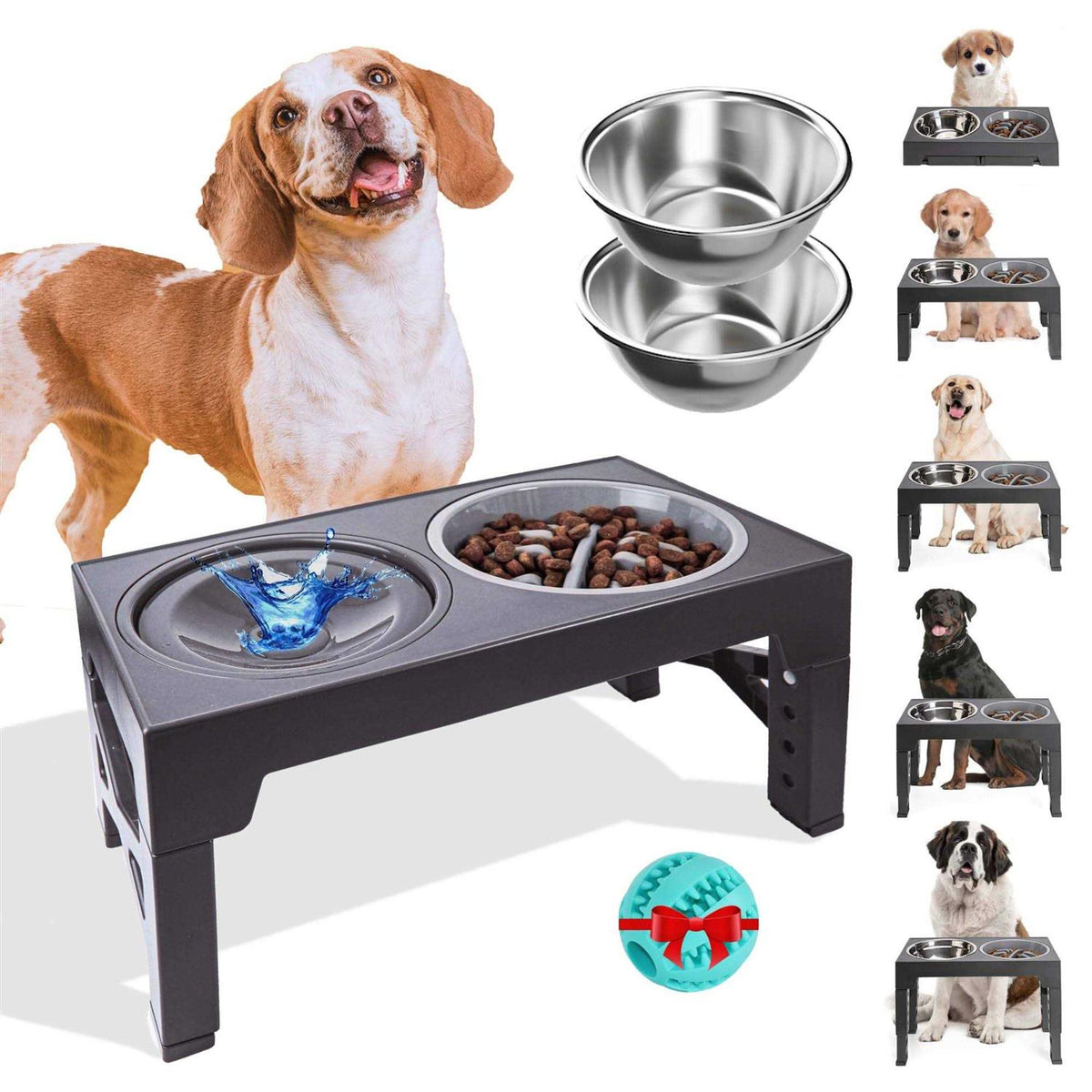 Elevated Slow Feeder Dog Bowls Set with 2 Stainless Steel & 1 No Spill Bowl I948701