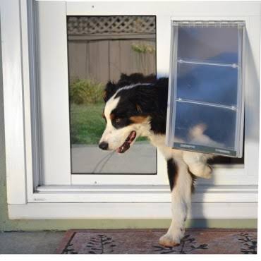 White Medium Cat Door O22062