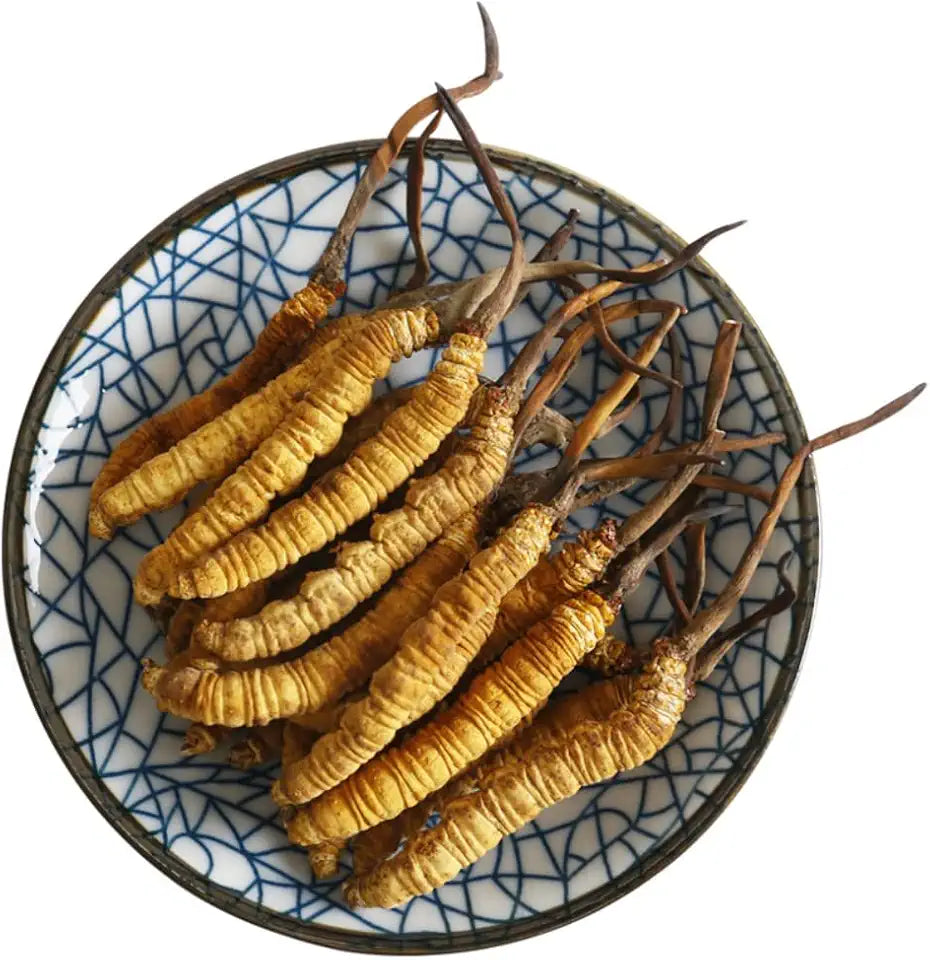 3 Grams Wild Cordyceps Sinensis Q188