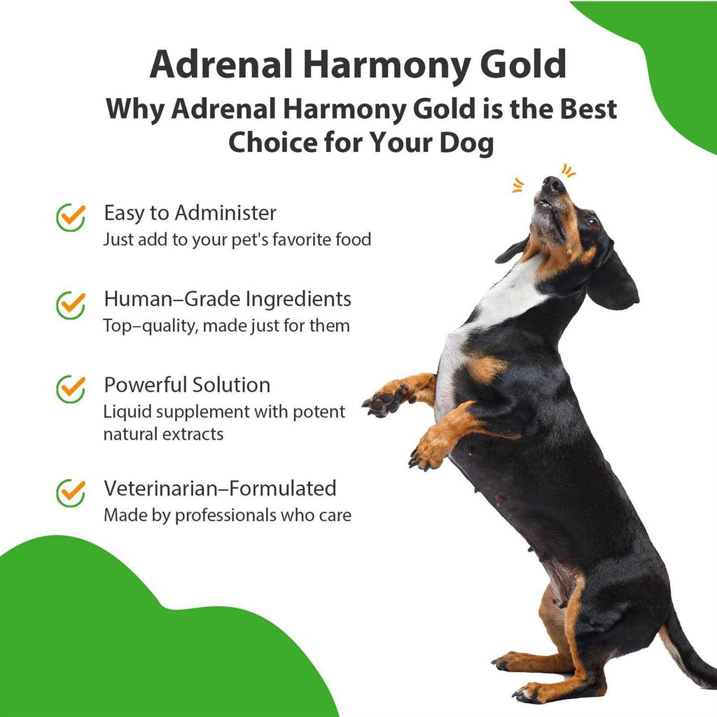 Adrenal Harmony Gold for Dogs E56462