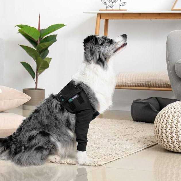 Dog Recovery Sleeves J83882