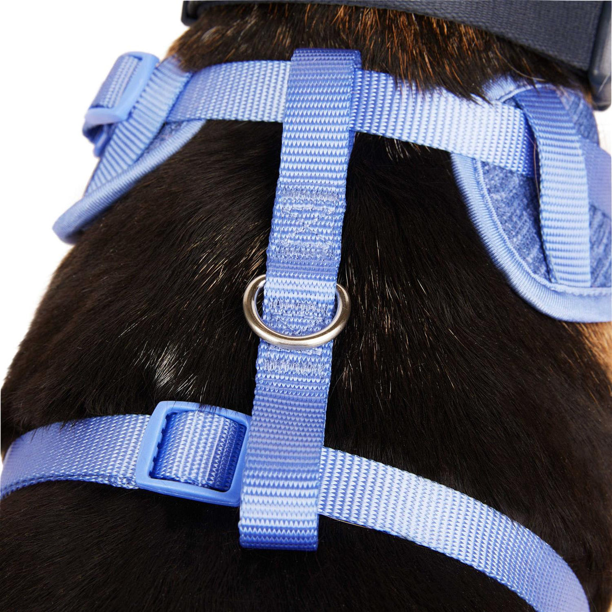Heather Pullover Dog Harness A19996