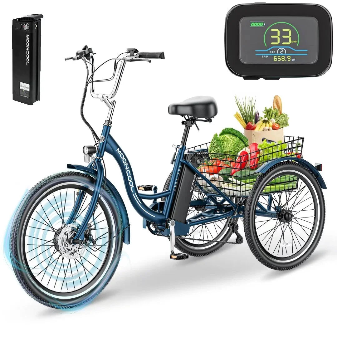 24 Inch 3 Wheel Electric Tricycle with 36V Removable Lithium Battery S77967