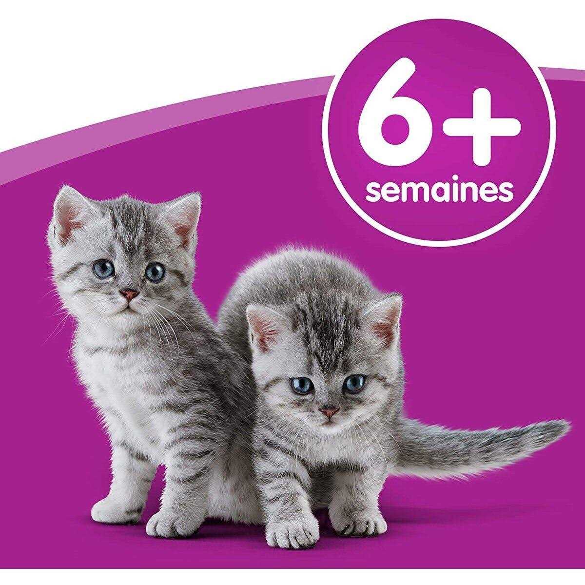Cat Milk B828