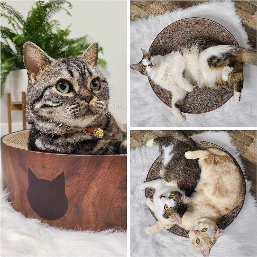 Cat Scratcher Bowl A83937