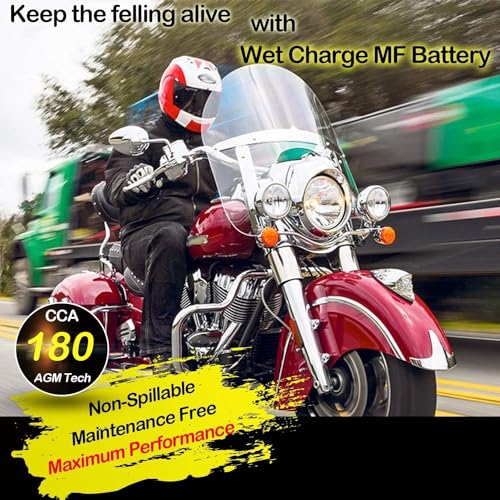 Maintenance Free Sealed AGM ATV Motorcycle Battery P27858