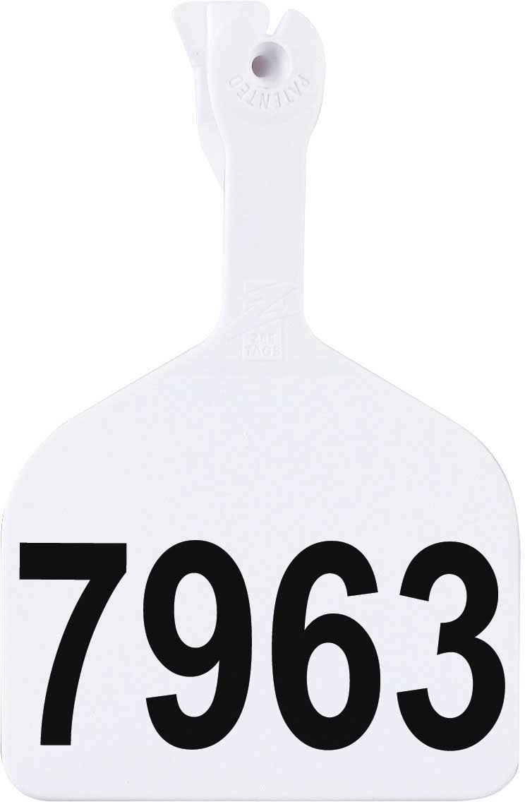Numbered Cattle ID Tags White 1000 ct P503829