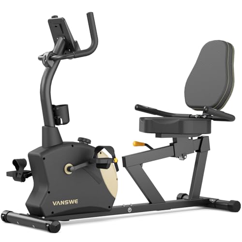 Recumbent Exercise Bike with Magnetic Resistance F854480