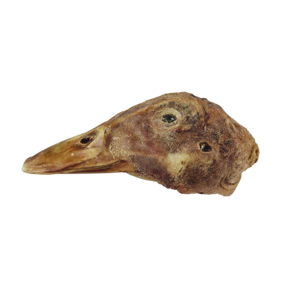 Freeze-Dried Raw Duck Head Pet Treat Q634