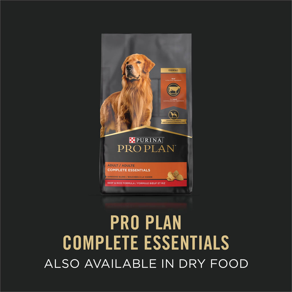 Beef Lamb Dog Food 5.5 oz Cans 24 Pack W460