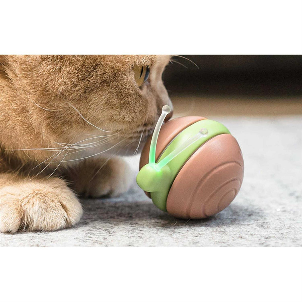 Interactive Cat Toy I4542