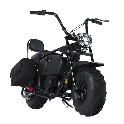 36V 1000W Electric Mini Dirt Bike R309