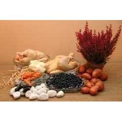 Grain Free Chicken Dog Food S593160