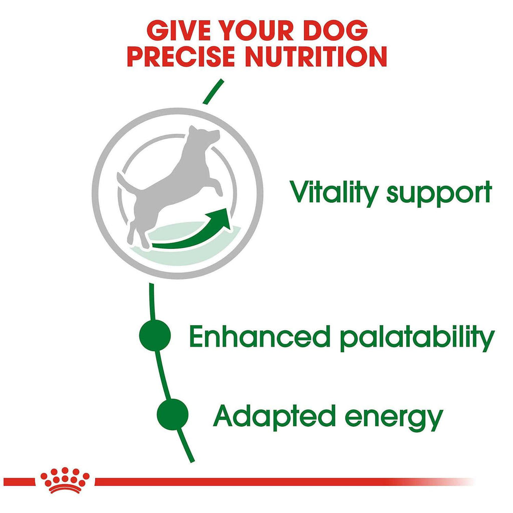 Dry Dog Food L4205