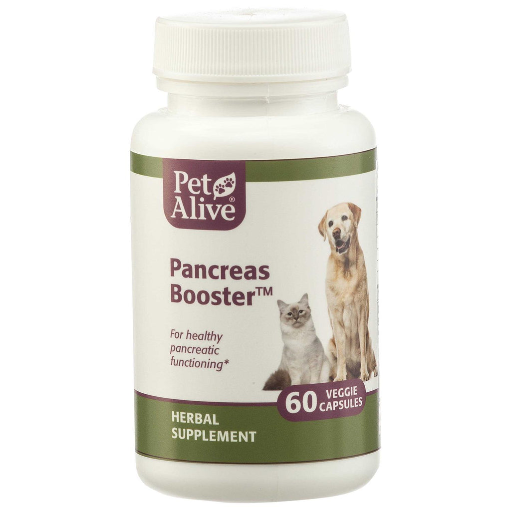 Pancreas Booster Pet Supplies H544044