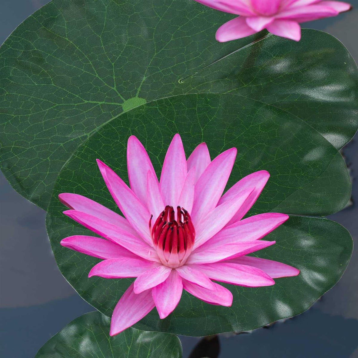 Artificial Lotus Leaves Lily Pads Floating Foam W347