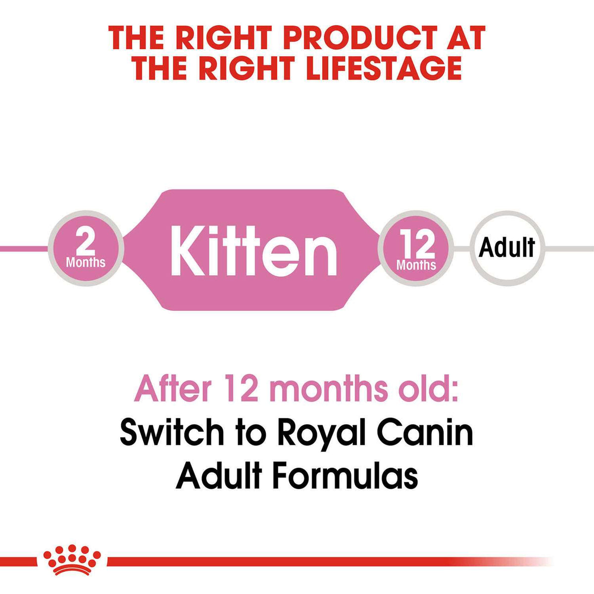 Kitten Dry Food X95162